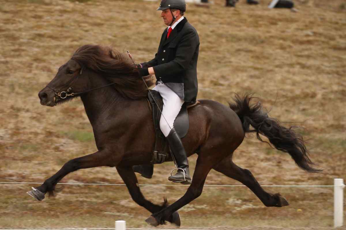 Як змусити коня перейти на більш швидкий алюр